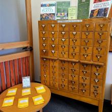 A photo of a free-standing card catalog and small table. The card catalog is filled with seed packets for library card holders to use in their home gardens.