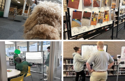 Top Left: An image of a dog with curly hair wearing a gopro camera that was used to film content for school announcements. Top Right: A photo of a white board with various photos of evidence and evidence markers for Criminal Justice class. Bottom Left: Photo of various people in a study room writing on a whiteboard, planning football plays. Bottom Right: A photo of two people standing in thought in front of a whiteboard writing on whiteboard. 