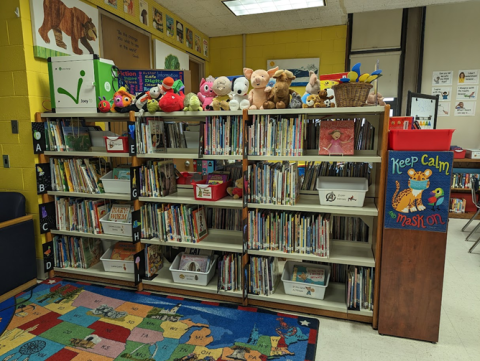 Library books on a shelf in a classroom