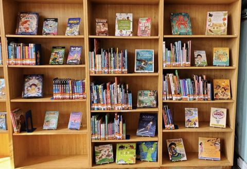 A wooden bookshelf holds an assortment of children’s books. The books are neatly arranged in rows and columns, with colorful covers and spines visible.