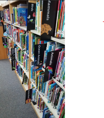 Books on a bookshelf with many display cards naming different subjects.